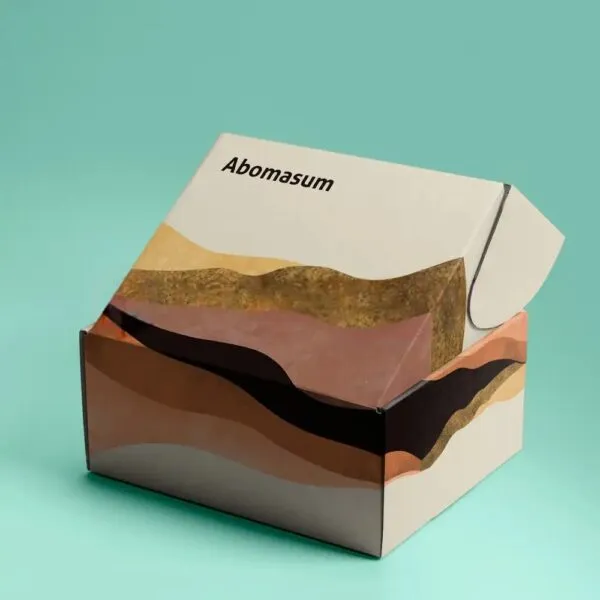 Custom Mailer Boxes | Premium Packaging Solutions