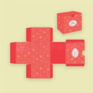Custom Die Cut Boxes | Stylish Retail Packaging