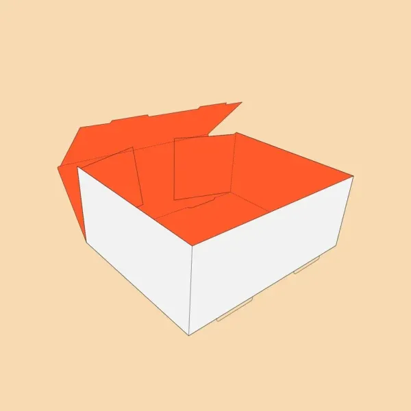 Foot Lock Tray – Innovative and Convenient Packaging Solution