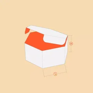 Custom Hexagon Box Packaging - Unique & Attractive Design