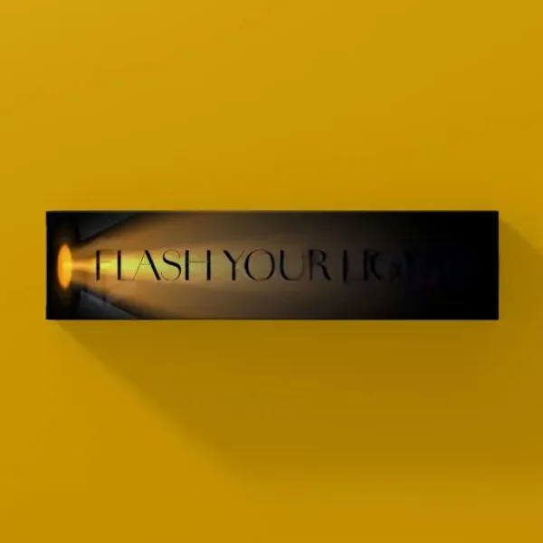 Flashlight Packaging - Image 3
